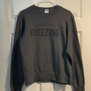 Literally Freezing Gray Sweater